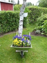 Kuva on Päivärannan siirtolapuutarhasta, kuva: Suomen Siirtolapuutarhaliitto ry