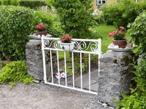 Kuva on Päivärannan siirtolapuutarhasta, kuva: Suomen Siirtolapuutarhaliitto ry