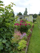 Kuva on Päivärannan siirtolapuutarhasta, kuva: Suomen Siirtolapuutarhaliitto ry